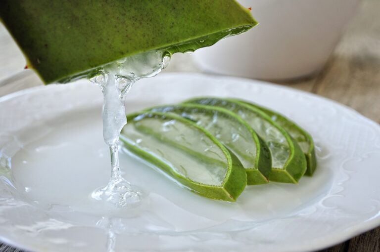 manfaat lidah buaya