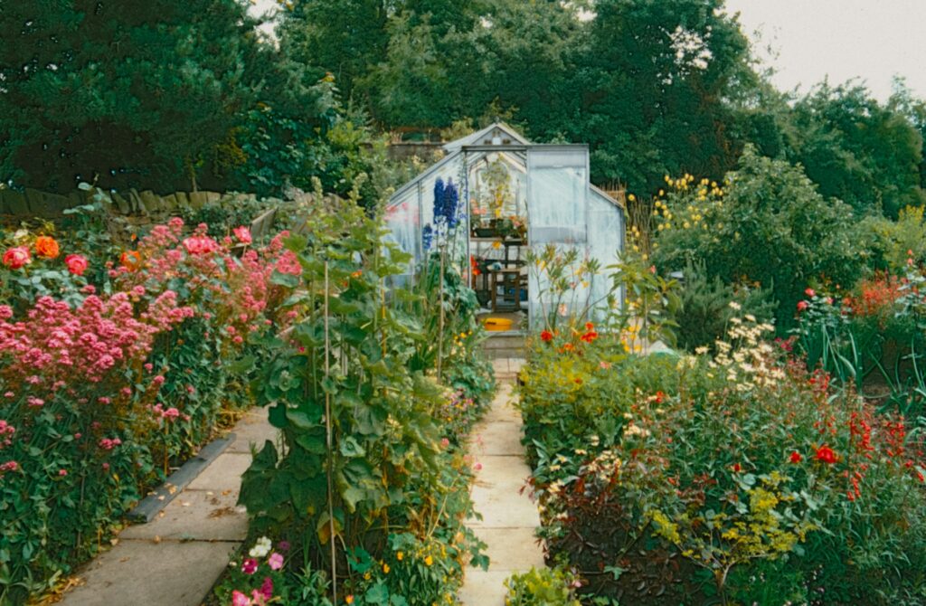 kebun kecil di rumah