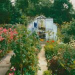 kebun kecil di rumah