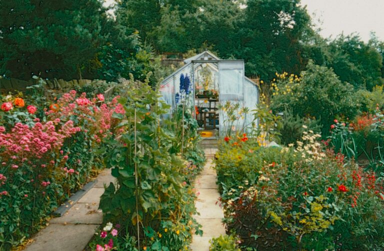 kebun kecil di rumah